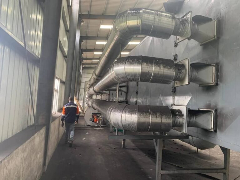 WhatsApp Image 2025-10-11 at 16.47.18 (1)