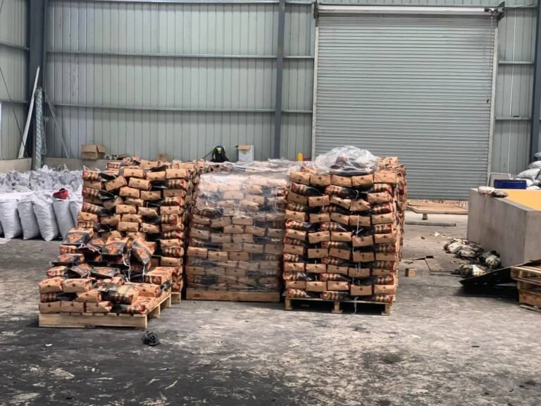 WhatsApp Image 2025-10-11 at 16.47.19 (1)